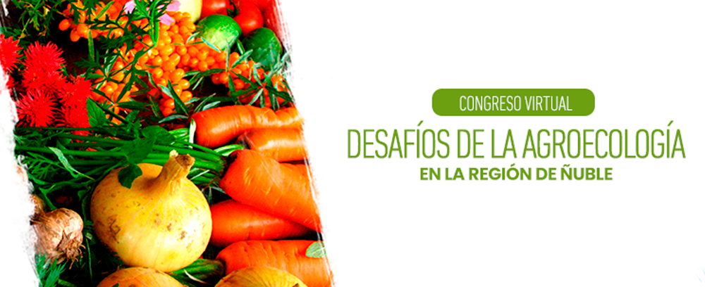Desafíos de la Agroecología de la Región de Ñuble