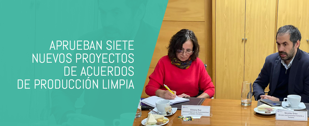 Consejo directivo