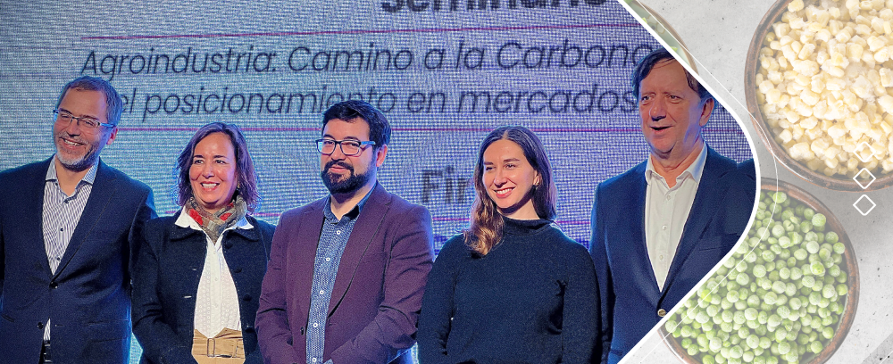 APL_ alimentos