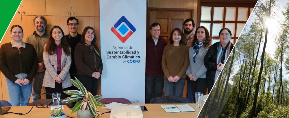 APL_BOSQUE_BIOBIO