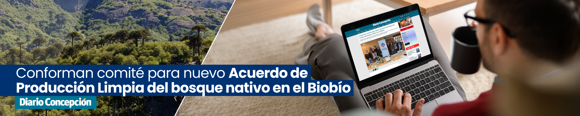 Medios